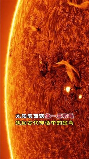 天文学家拍摄到:太阳表面真实图像，表面就像一层羽毛似的在运动，真令人感到恐惧！#视觉震撼#太阳表面#探索宇宙