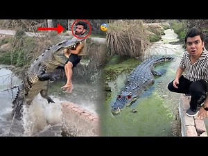 Big Crocodile Javed Ko Ly Gea 😨