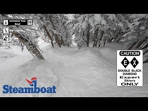 Christmas Tree Bowl - Steamboat [4K]