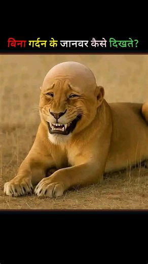 “How do animals without necks look?” 😂😆 #facts