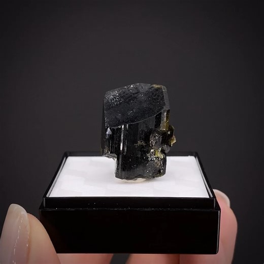 Pargasite - Pargas, Southwest Finland, Finland More info: https://www.irocks.com/minerals/specimen/51599 Alex Schauss prided his collection on having the broadest possible representation of superb crystalline examples of the most rare species possible, particularly things considered by others to be obscure, dark, unworthy of exhibit. Here we have a truly superb, lustrous black terminated crystal with a small single crystal at mid-level on the side of the larger crystal. Pargas is the type locali