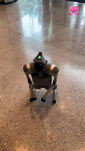 2.9K views · 21 reactions | Hi What's up? #robotics  | Reviews | Facebook