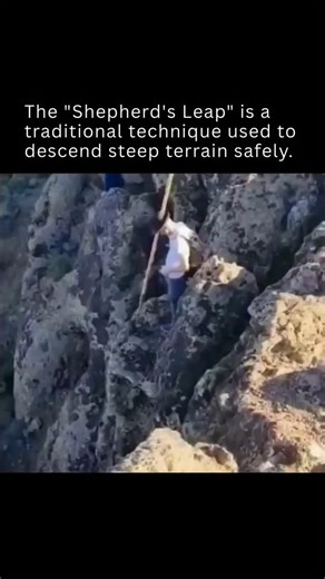 Interesting Facts & Stories on Instagram: "The Shepherd’s Leap is a traditional movement technique developed in the Canary Islands, especially in the region’s steep and mountainous areas. Designed by local shepherds and farmers, it allows them to descend rugged slopes quickly and safely, reducing the risk of slips and injury. Rather than walking or sliding down, practitioners use a series of controlled, agile leaps that help maintain balance and precision. This method is still used today by shep