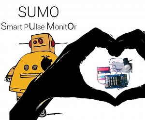 SUMO : Smart Pulse Monitor ( a Low Cost Smart ECG )