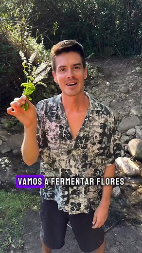 👇 DESCRIPCIÓN 👇Se llama “Fermentación Salvaje” ya que el CULTIVO (levaduras y bacterias) que producen la fermentación provienen de las FLORES. 🔹Es importante tener en cuenta que la cantidad de azúcar a utilizar dependerá de la cantidad de flores que uses y de la cantidad de tiempo que lo vayas a fermentar. EL AZÚCAR NO ES PARA VOS 🤣 LO VAN A CONSUMIR LOS MICROORGANISMOS PRESENTES EN LAS FLORES 🔹Podés usar azúcar orgánica también o una miel de calidad. La miel cruda ES UN CULTIVO también por