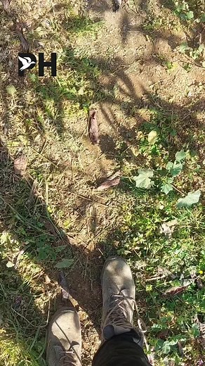 follow for more 🔥🔥 #hunt #hunting #huntingtiktok #hunter #hunterxhunter #الشعب_الصيني_ماله_حل😂😂 #لبنان #bird #birds #birdsoftiktok #nature #winter #fake #fakesituation #fakesituation⚠️ #explore #fyp #foryou #foryoupage #foryour #viral #virall #viralvideo #viraltiktok