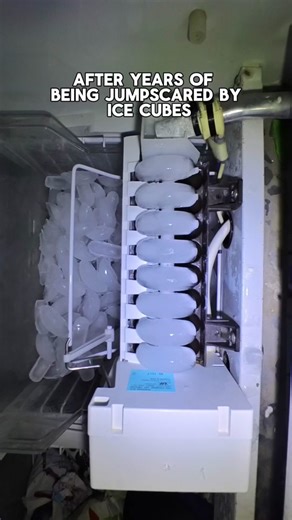 How a Freezer's Automatic Ice Machine Works: Insta360 GO 3 Action Camera