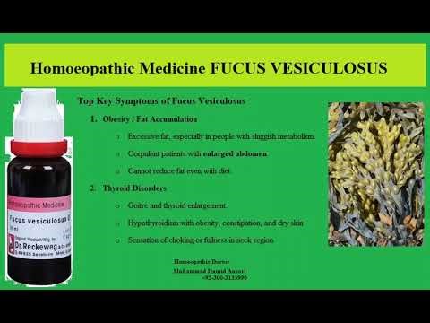 Homoeopathic Medicine FUCUS VESICULOSUS