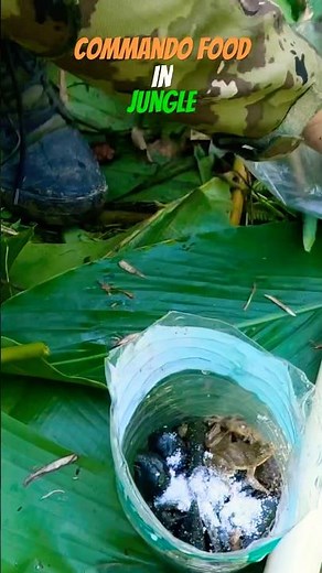 💀#army #commando #military #jungle #survival #indianarmy #specialforces #armystatus #armylife