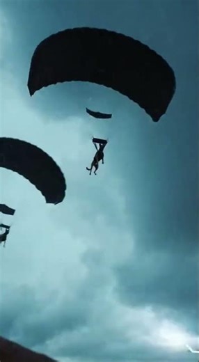 Brave K9 Soldiers: Guardians of the Mission