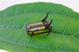 RoBeetle, The World's Lightest Crawling Robot