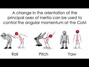 Fast Whole-Body Motion Control of Humanoid Robots with Inertia Constraints