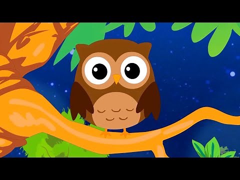 The Owl | Greek kids songs | Koperti