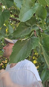 269K views · 9.1K reactions | Typical Sicilian breakfast tuwing panahon ng tag-init. | Sandra BV | Facebook