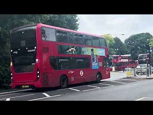 Buses in London