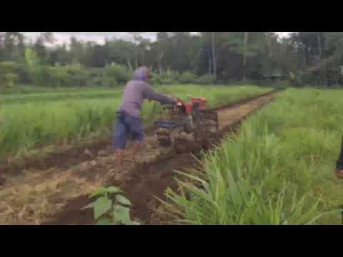 The Best Process for Plowing Fields with Modern Agricultural Machinery — Agriculture Farming
