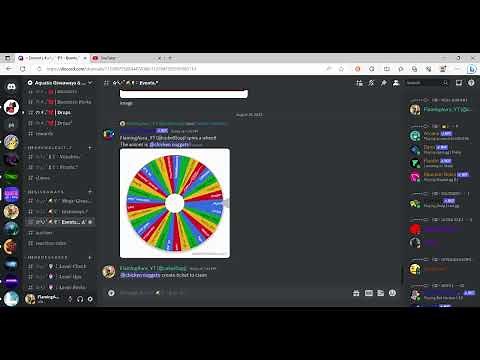 Spinning wheel in my discord server