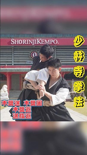 #shorinjikempo #少林寺拳法 #martialarts #武道 #金剛禅 #木葉送 #木葉返 #送指返