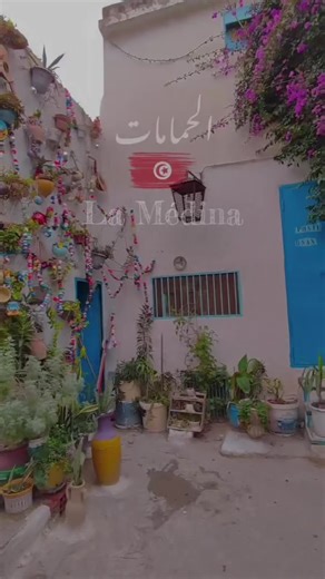 Discover the Beauty of Hammamet, Tunisia