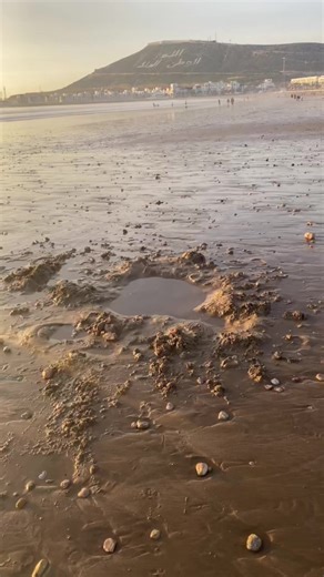 Enjoying Sunny Days at Agadir Beach