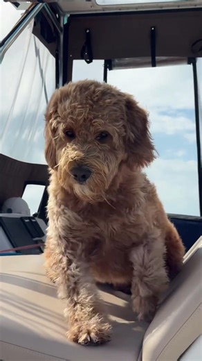 Come pick up anchor with me and move to a new anchorage! #sailing #badweather #bahamas