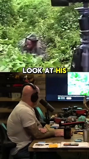 Joe Rogan Gorilla Vs 1 Man 😲(1080P 60FPS) | Jre Fascinating