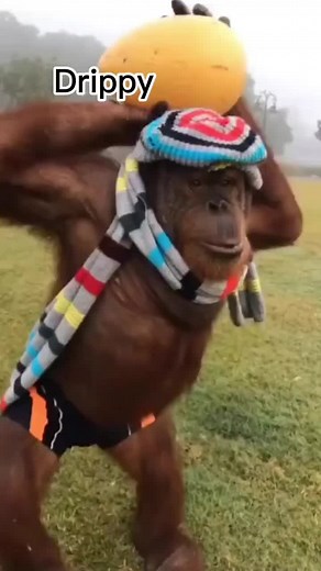 I make wallpaper editz for u on TikTok