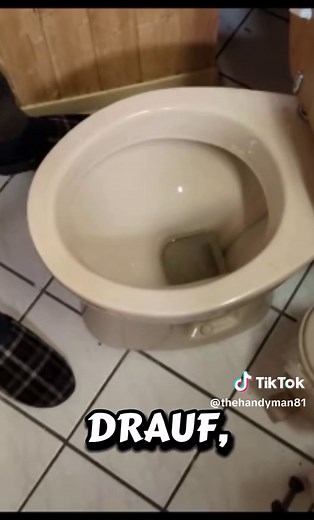 Urinstein in der Toilette mühelos entfernen