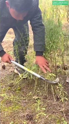 🌿🪓 Curved Brush Cutter for Efficient Ground-Level Harvesting
