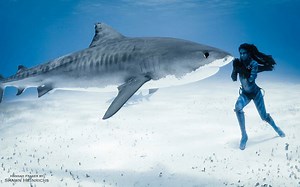 2.8M views · 13 reactions | So Honored to have Hannah Mermaid featured in the official video for an-ten-nae Oceans Deep. Please Share and help spread awareness for Oceana, an amazing ORG., dedicated to saving our Oceans! Big thanks to Shawn Heinrichs for the amazing footage. | an-ten-nae | Facebook