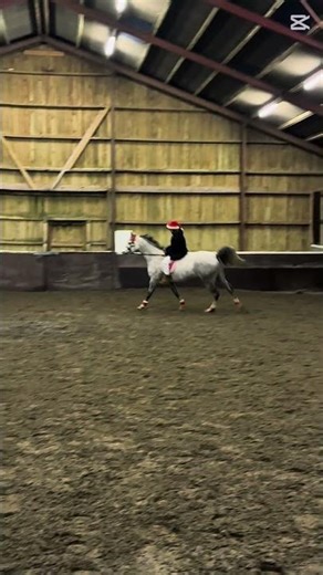 First time cantering bareback he was so good