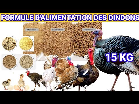 Turkey Feeding Formula