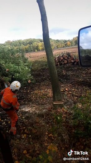 Cameron Banfield on TikTok