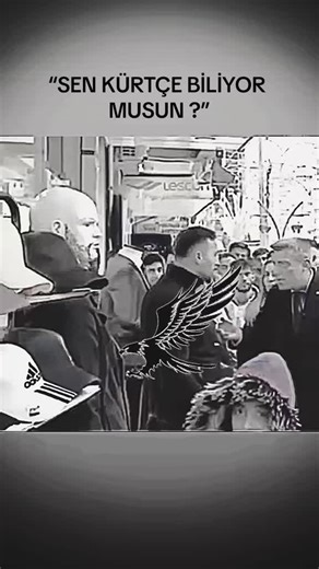 Kürtçe Dilinin Önemi ve Kültürel Bağlar