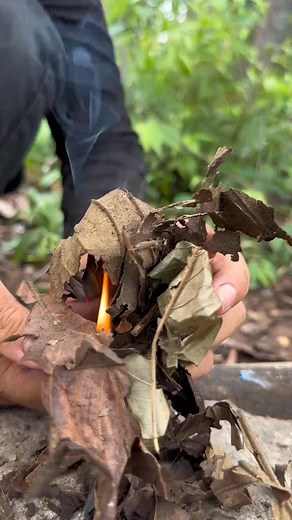 Survival Skills How to Was Best Fire for SURVIVAL in the wild #camping #outdoors #bushcraft | Food Primitive