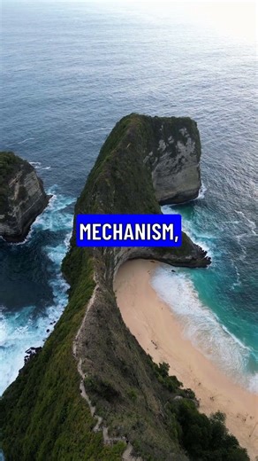 **Scientists Discovered** the **Paranoia Code**... **you just proved it** 😵‍💫