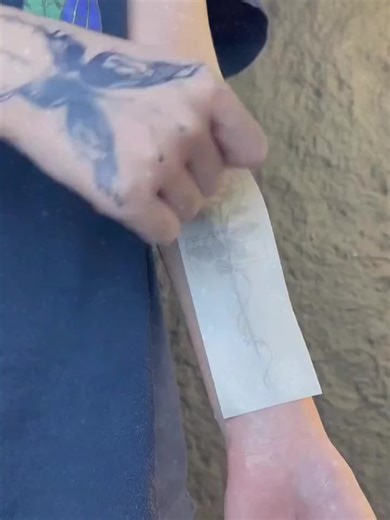 BelezaNaVida no TikTok