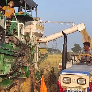 45K views · 464 reactions | Vari Kotha machine harvester green gold 4 wheel drive | Daily Post | Facebook