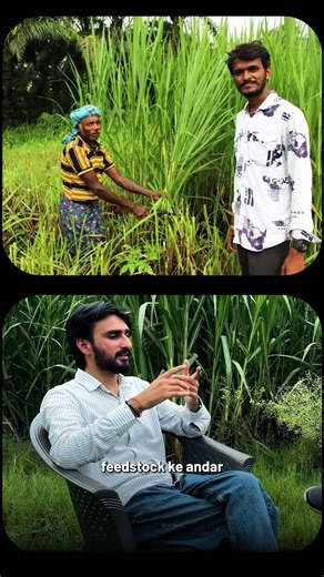 Napier best kyu hai CBG Plant ke liye?