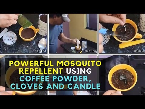 Powerful Mosquito Repellent Using Coffee Powder, Cloves and Candle