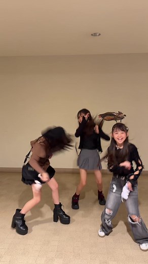 ニワトリのエフェクトが面白い！