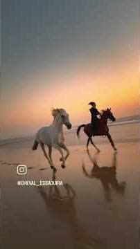 9 января 2026 г.