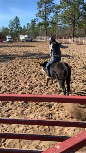 Tiny Bull Riding First Time Outs with Female Bull Rider