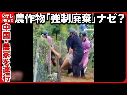 【中国・耕作地拡大】「私を死なせたいの？」泣き崩れる中国農家 習主席の“鶴の一声”