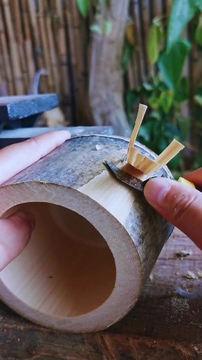 Best Way to use Bamboo Trees #bamboo #bambooforest #bamboozled #bamboosunglasses #bambooclothing #bambootoothbrush #bambooisland #bamboogrove #bambooshoots #bambootattoo #bamboohouse | 4Day