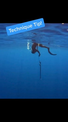 Spearfishing Technique Tips for Efficient Diving