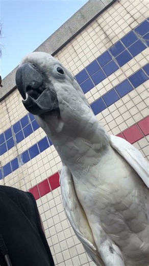 Hello. Surpriseeeeee