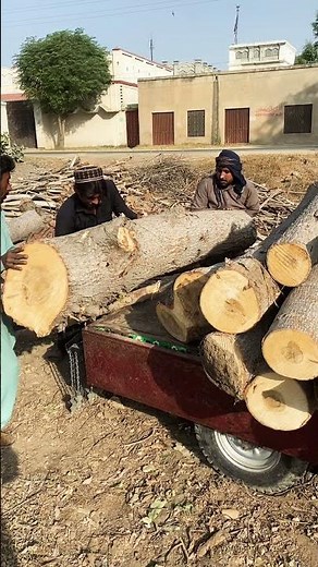Heavy cottonwood loading. #rosewood #wood #wheelsaw #howto #carpentry #sawblade