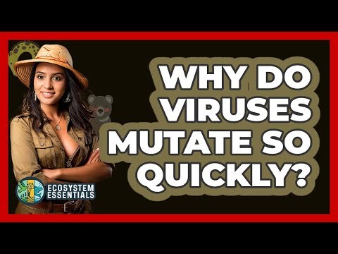 Why Do Viruses Mutate So Quickly? - Ecosystem Essentials