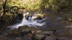 Clare Glens Woodland & Loop Walks